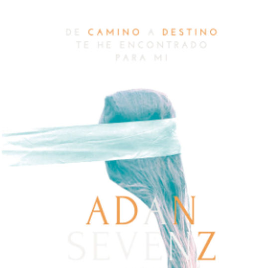 Camino Destino - 1083