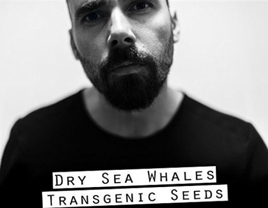 Transgenic Seeds - 1369